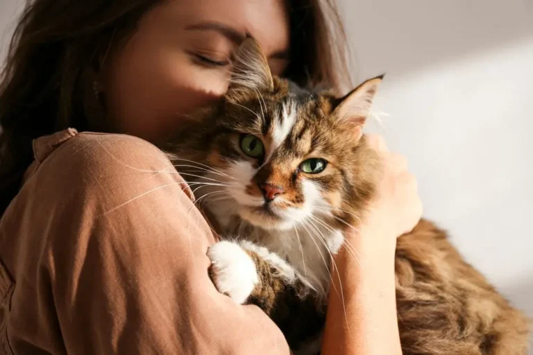 Can You Have an Emotional Support Cat