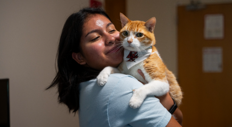Free Emotional Support Cat Registration